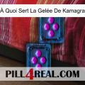 À Quoi Sert La Gelée De Kamagra 03